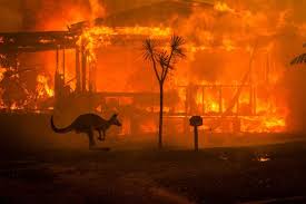 Australia Fires Continue to Blaze Despite Rainstorms