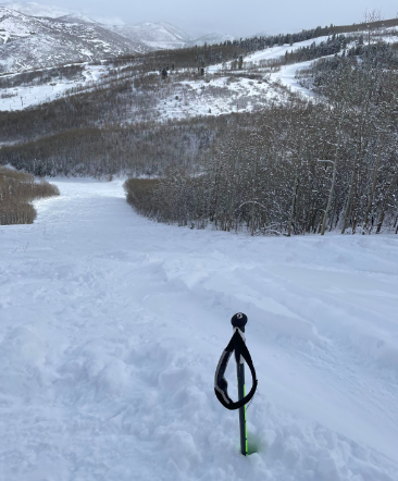 Powder day at PCMR, December 29, 2021. Photo credit: Asher Levine